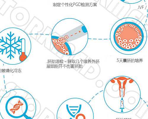 北京做试管婴儿口碑好的公立三甲医院是哪家