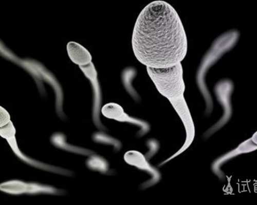 骨髓造血功能衰竭症