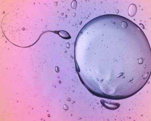 北京私立机构供卵,北京私立供卵代孕包成功医院排名