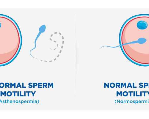 北京助孕助孕哪里好,北京试管婴儿纳入社保,要购买社保多久能报销