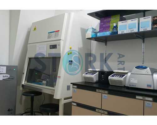 北京想找女子助孕的医院,北京圣玛妇产医院有限公司怎么样？,地下辅助生殖调