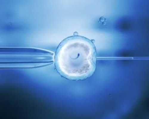 女人冬季喝什么茶好