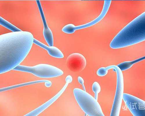 北京怎样借卵生子,[2家可选]北京三代供卵代孕包成功