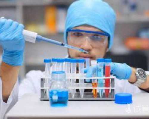 备孕都需要做什么