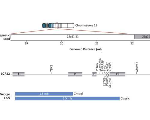 白血病患者不孕不育可以做试管婴儿吗？
