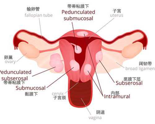 北京供卵产子公司,北京做试管多少钱?