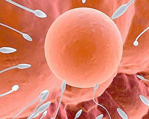 北京供卵三代生女孩几率,2024北京东方医院不排队做二代供卵单周期要多少钱？