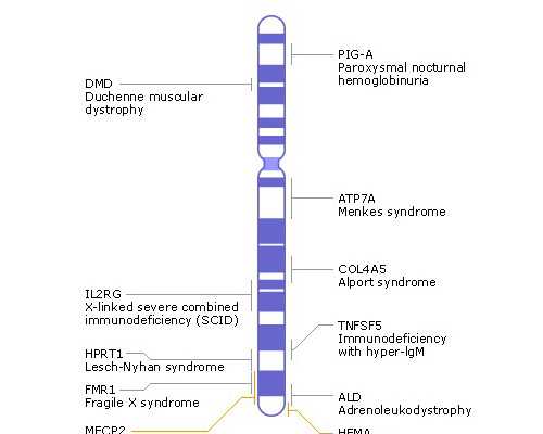 北京代孕医院哪里找,泰安三代试管大概多少钱在北京？泰安三代试管大概多少