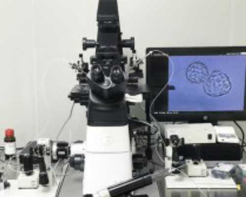 北京代孕医院名单,，正式爆料北京试管公司