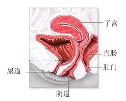 北京哪些医院供卵,北京合法试管中心有哪些