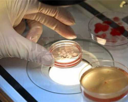 北京借卵助孕服务,北京助孕价格-北京三代试管医院