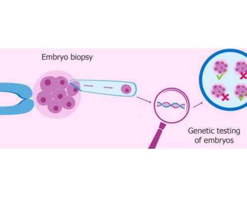 北京代孕网站挑战伦理底线|深圳三代试管做双胞胎多少钱，2024深圳试管双胎具