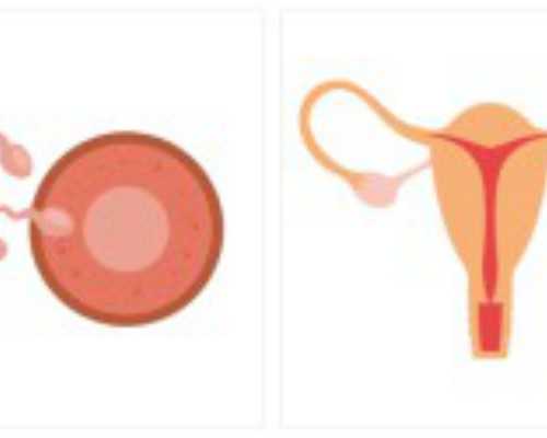 北京代孕供卵生子,北京三代试管包男孩靠谱吗？北京试管婴儿第三代可以选性