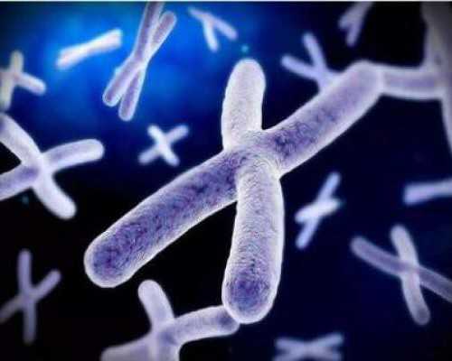 北京高龄供卵试管率高吗,北京妇产医院生殖科哪个大夫做试管技术最好？