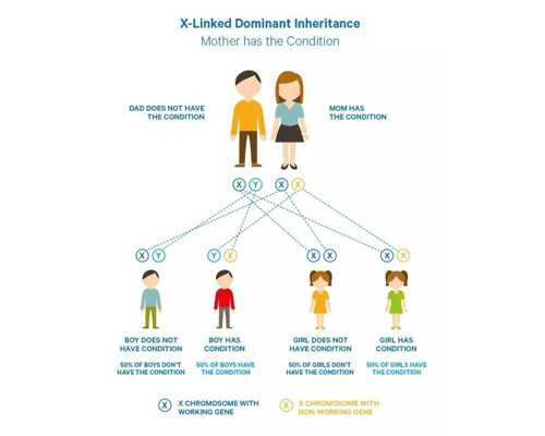 北京包生男孩医院|北京301解放军总医院试管怎么样？