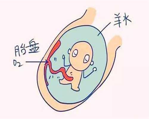 卵巢早衰半年没有怀孕_北京甜子代孕_借精试管婴儿多少钱_做试管婴儿多少钱？
