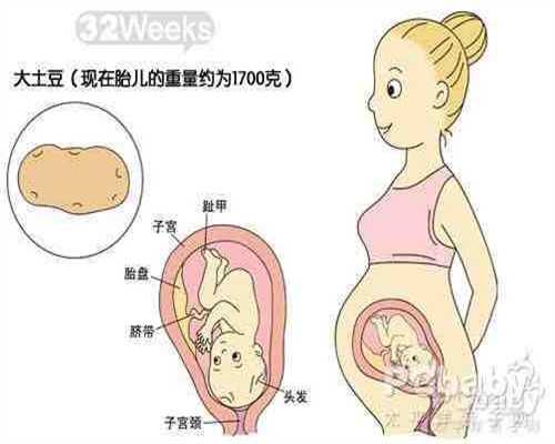 绝经4年还能怀孕吗_北京代怀多少钱_试管婴儿容易过敏吗_试管婴儿很容易胎停