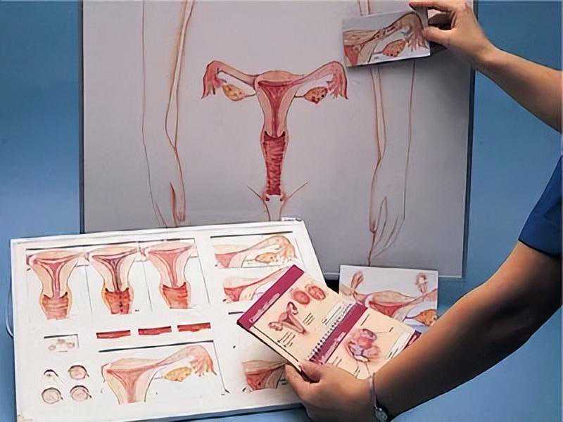 代孕包成功也抗人吗&俄罗斯试管婴儿供卵&绝经前有症状吗？卵巢早衰怎么查？