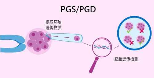 苏州供卵助孕实录；孕前不孕检查的真实体感与成功之路